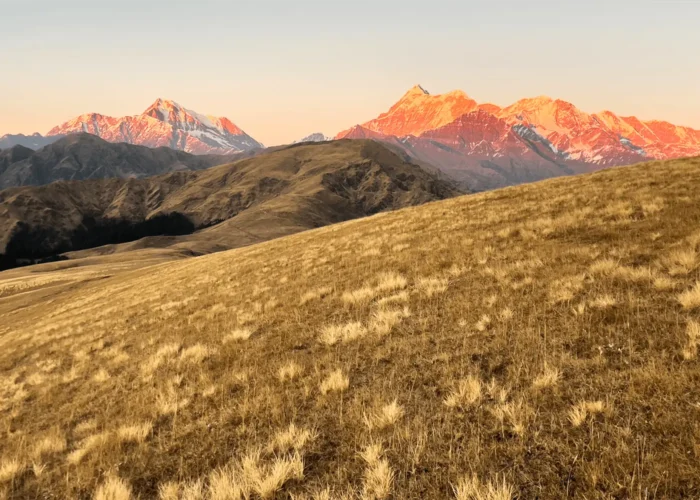 Lush green high altitude meadows with Mount Trishul and Mount Nanda Ghunti in the background during sunset in Uttarakhand