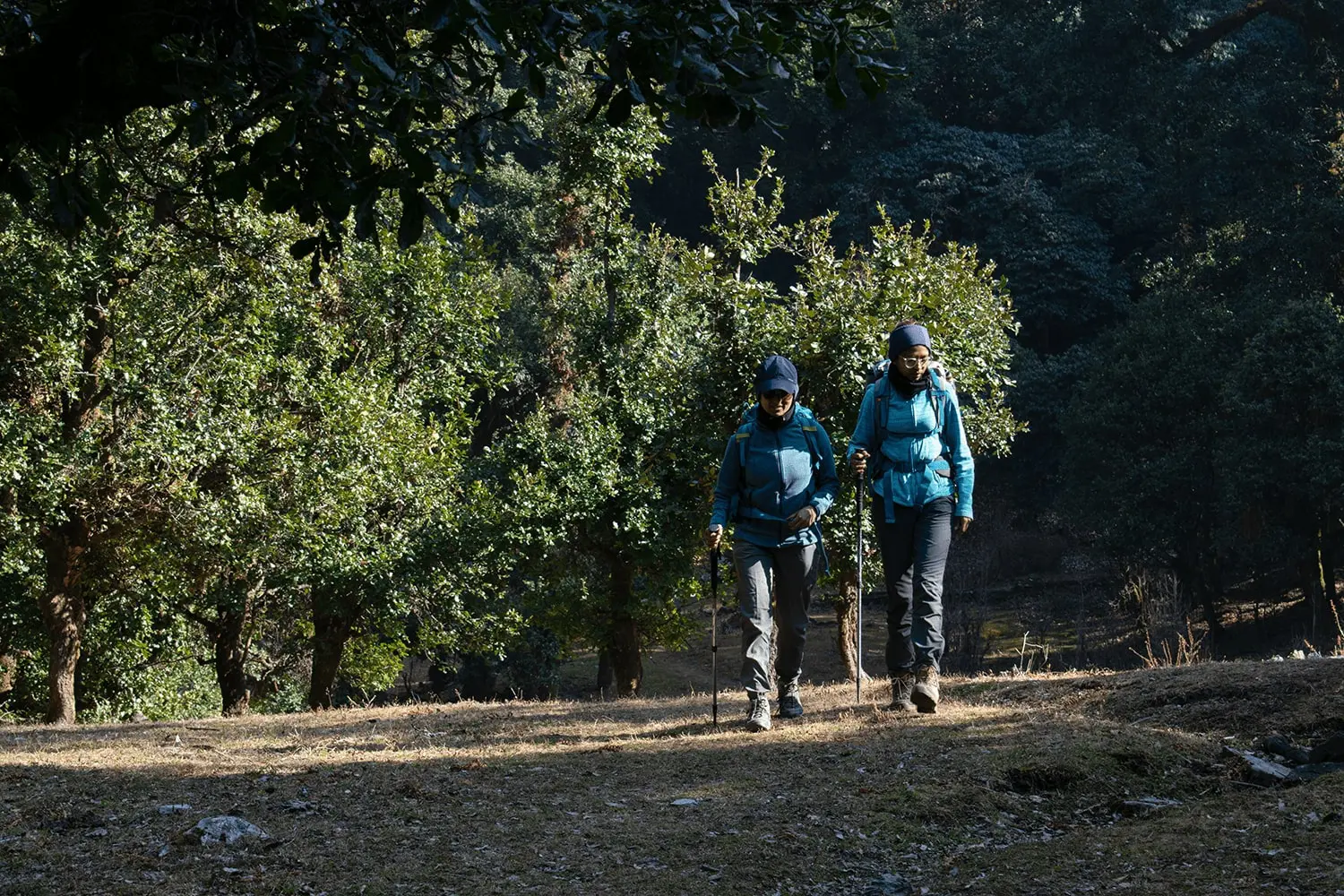 Two trekkers walk beneath a canopy of tress as they traverse a dense forest trail on Bagji Bugyal Trek.