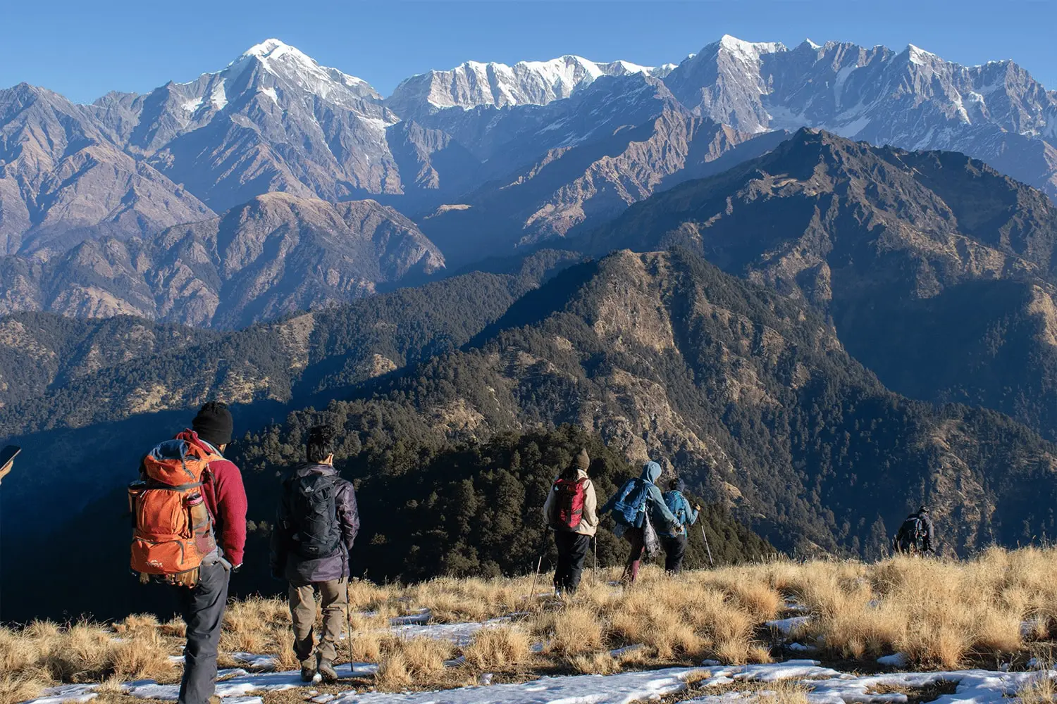 A group of trekkers navigates a less trodden path on Bagji Bugyal Trek, with towering mountains in the background.