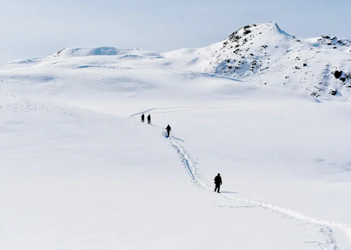 Trekkers traverse a stunning snow - covered trail on Dayara Bugyal trek in winter.