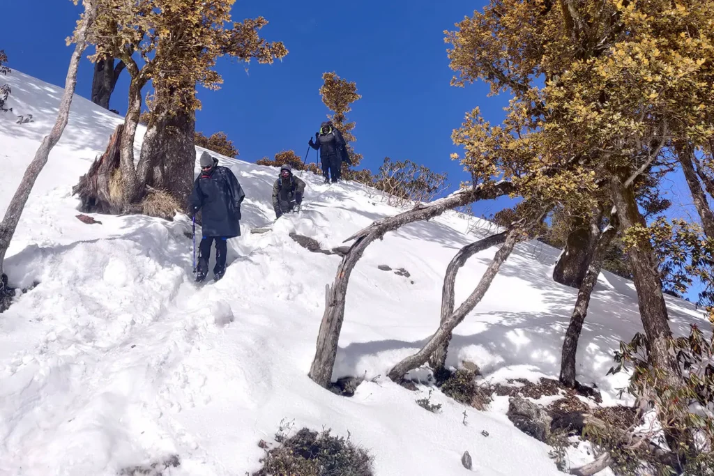 A snow covered trail on the way to Kedarkantha in Spring