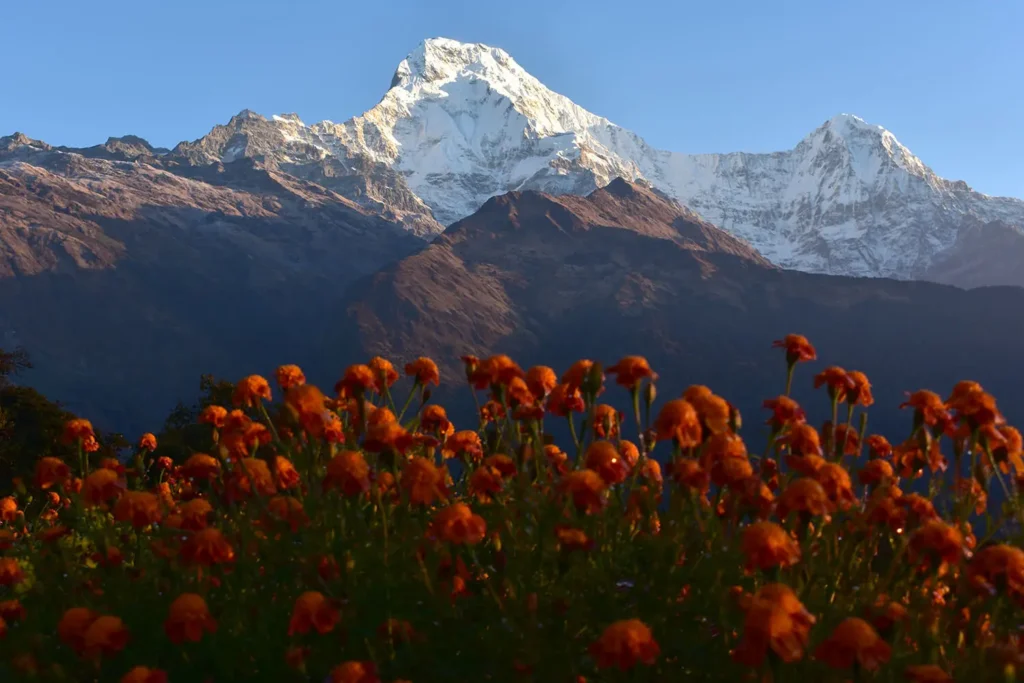 A stunning mountain peak captured from Khopra Ridge trek in Nepal in March