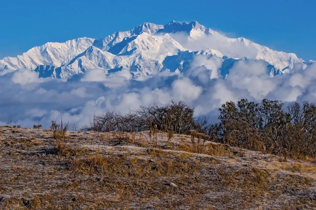Sandakhphu is well known for crisp mountain views. You can witness the majestic Kanchenjunga on Sandakphu Trek in winters