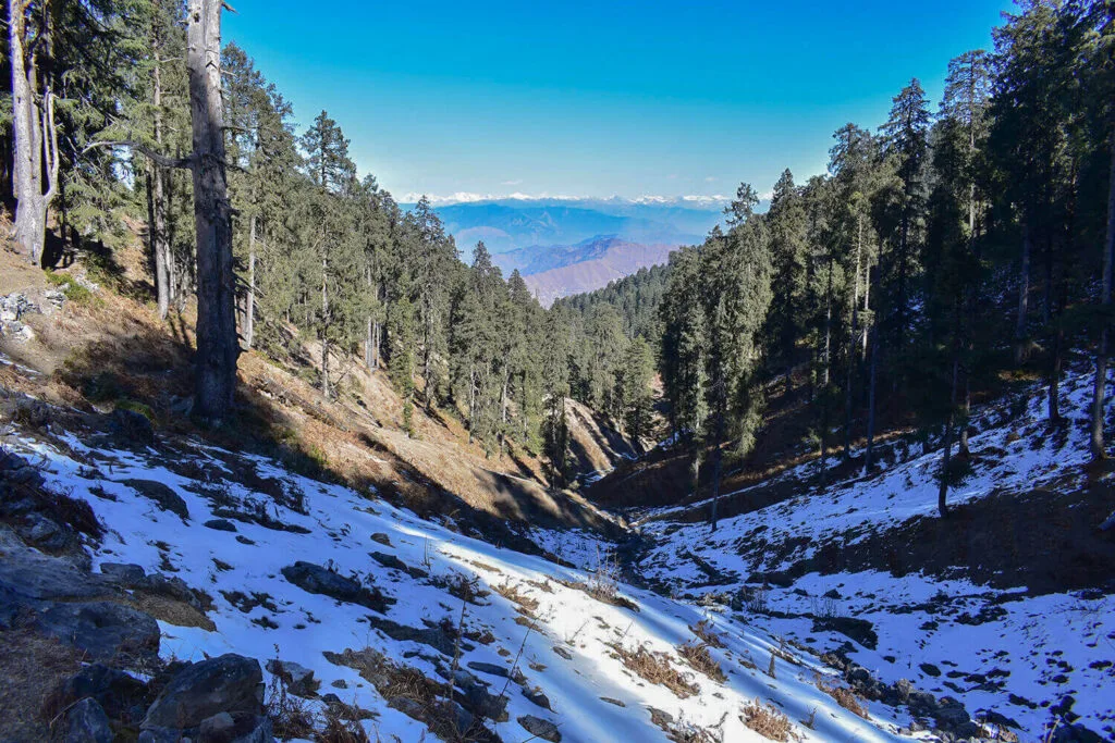 A snow-covered valley of Deoban trek with evergreen trees and rocky peaks in the distance.
