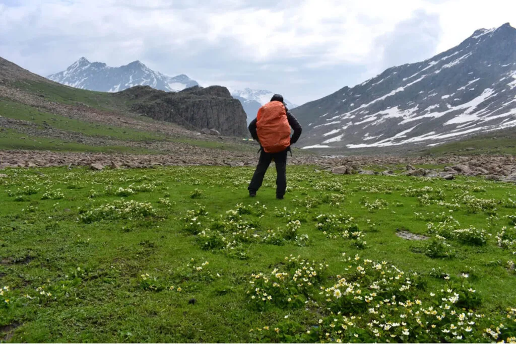 Tarsar Marsar trek, stretches across a vast landscape, revealing snow-capped peaks,
