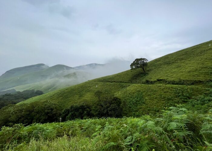 Kudremukh Trek is one of the most picturesque trails near Bangalore.